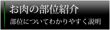 お肉部位紹介